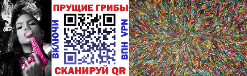 Купить где  Ставрополь  Псилоцибиновые грибы мицелий 